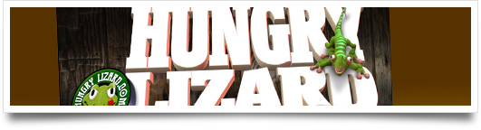 Think Webstore launches the new HungryLizard.com!